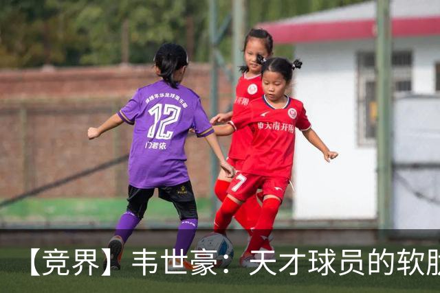 【竞界】韦世豪：天才球员的软肋 洪七公效应的外溢